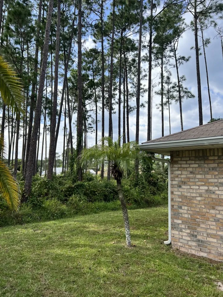 Top-rated outdoor landscaping experts serving Hastings, FL - Eaton Outdoor Solutions