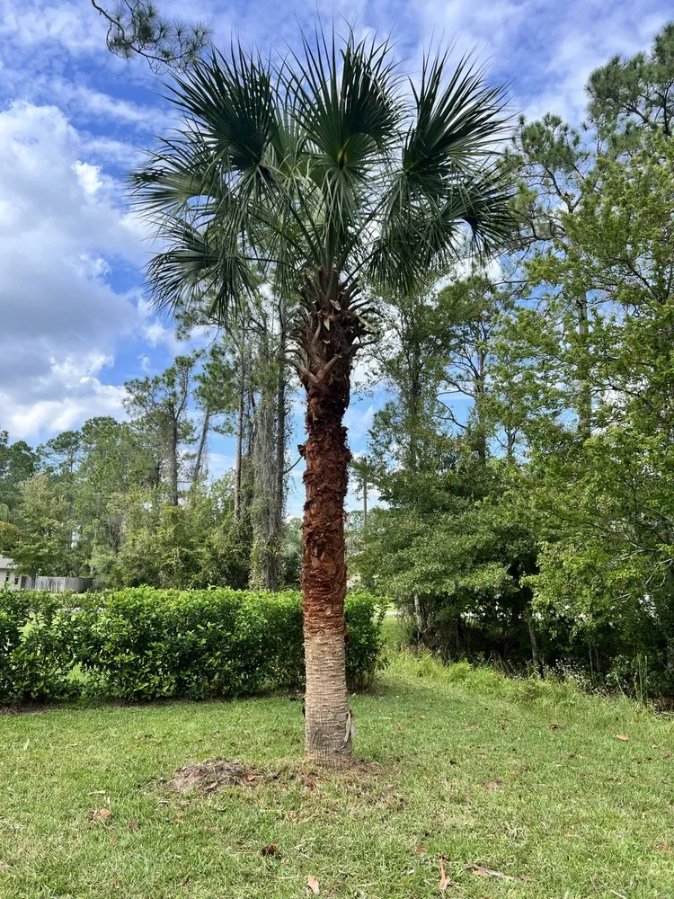 Professional yard maintenance near you in Hastings, FL by Eaton Outdoor Solutions