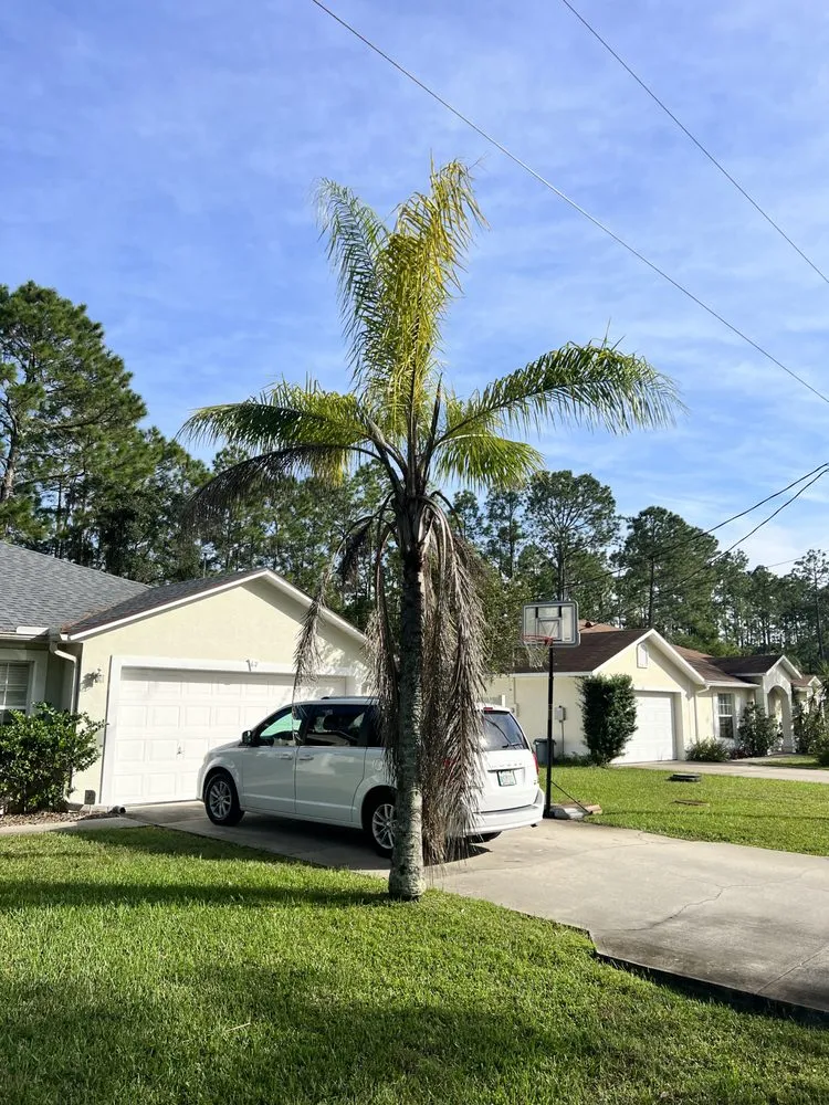 Local lawn care service in Hastings, FL - Eaton Outdoor Solutions