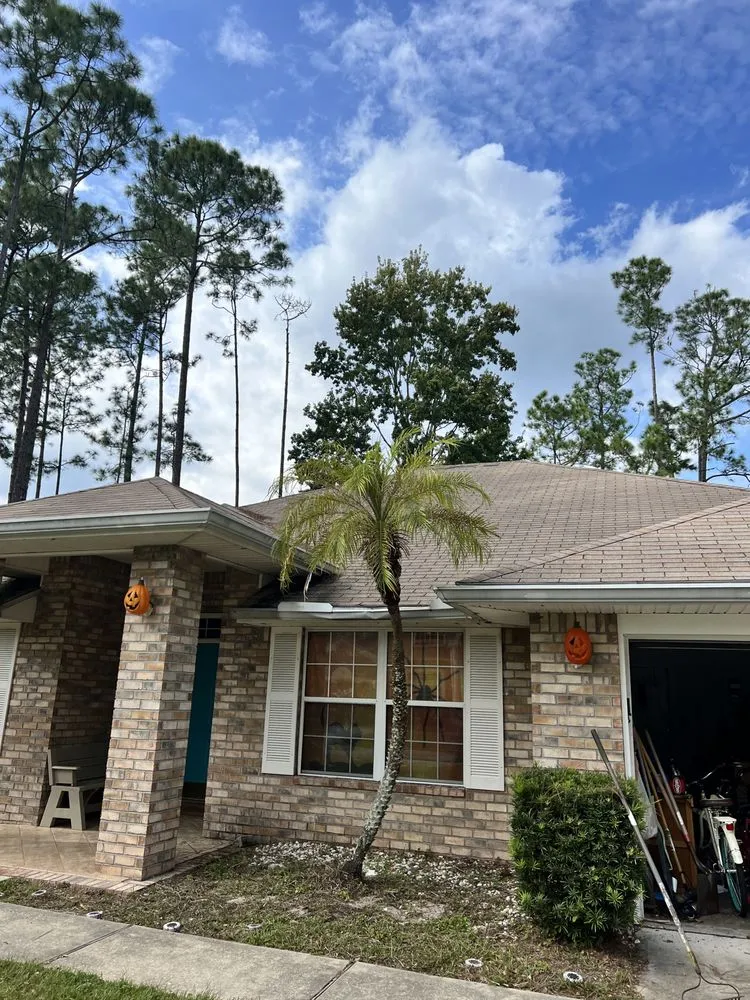 Custom yard cleanup service experts serving Hastings, FL - Eaton Outdoor Solutions