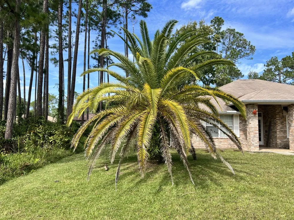 Custom lawn care service for outdoor upgrades across Hastings, FL - Eaton Outdoor Solutions