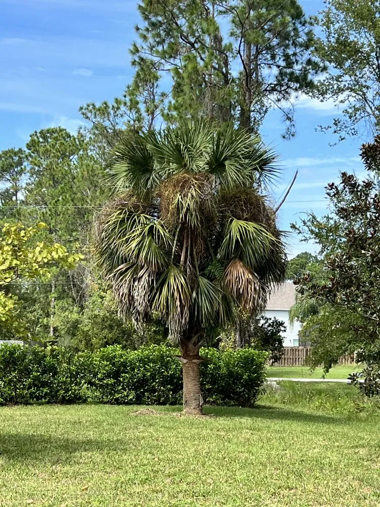 Affordable landscaping services for outdoor upgrades across Hastings, FL - Eaton Outdoor Solutions