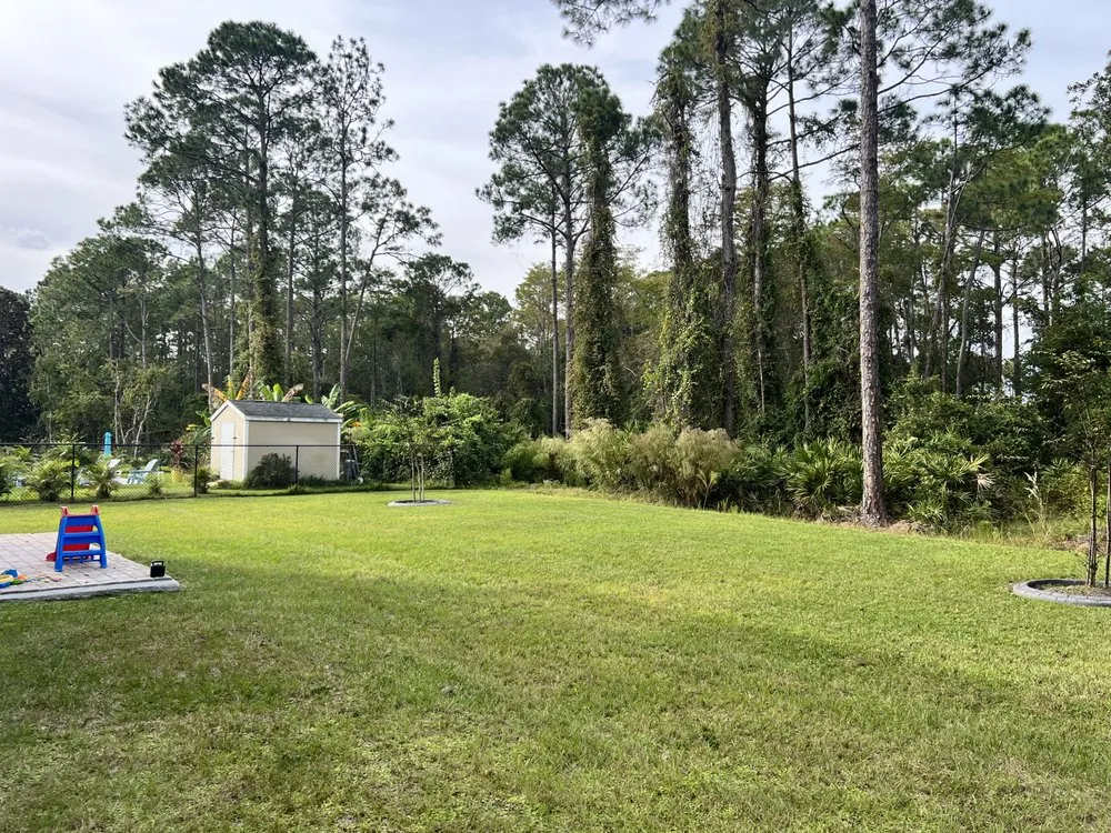 Local yard cleanup service in Hastings, FL - Eaton Outdoor Solutions