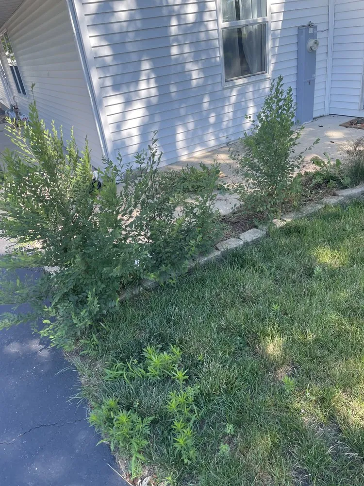 Affordable outdoor landscaping experts serving Machesney Park, IL - Eaton Services