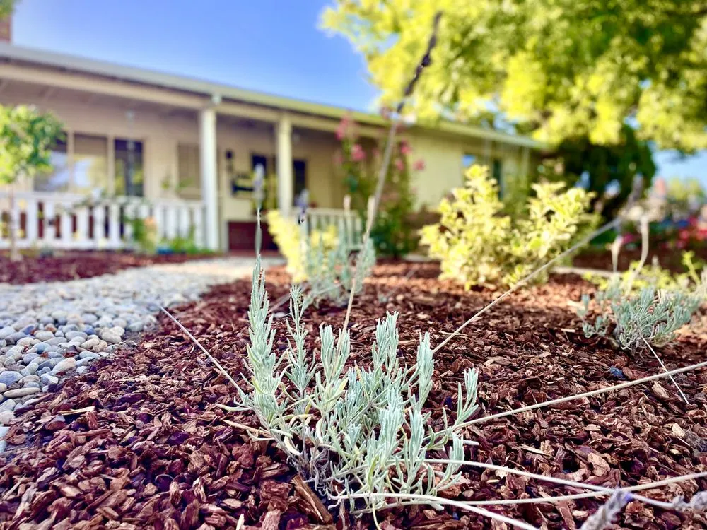 Trusted yard cleanup service in San Diego, CA by EatScapes Landscaping