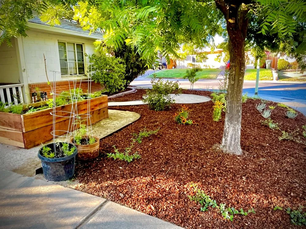 Local landscaping services in San Diego, CA - EatScapes Landscaping