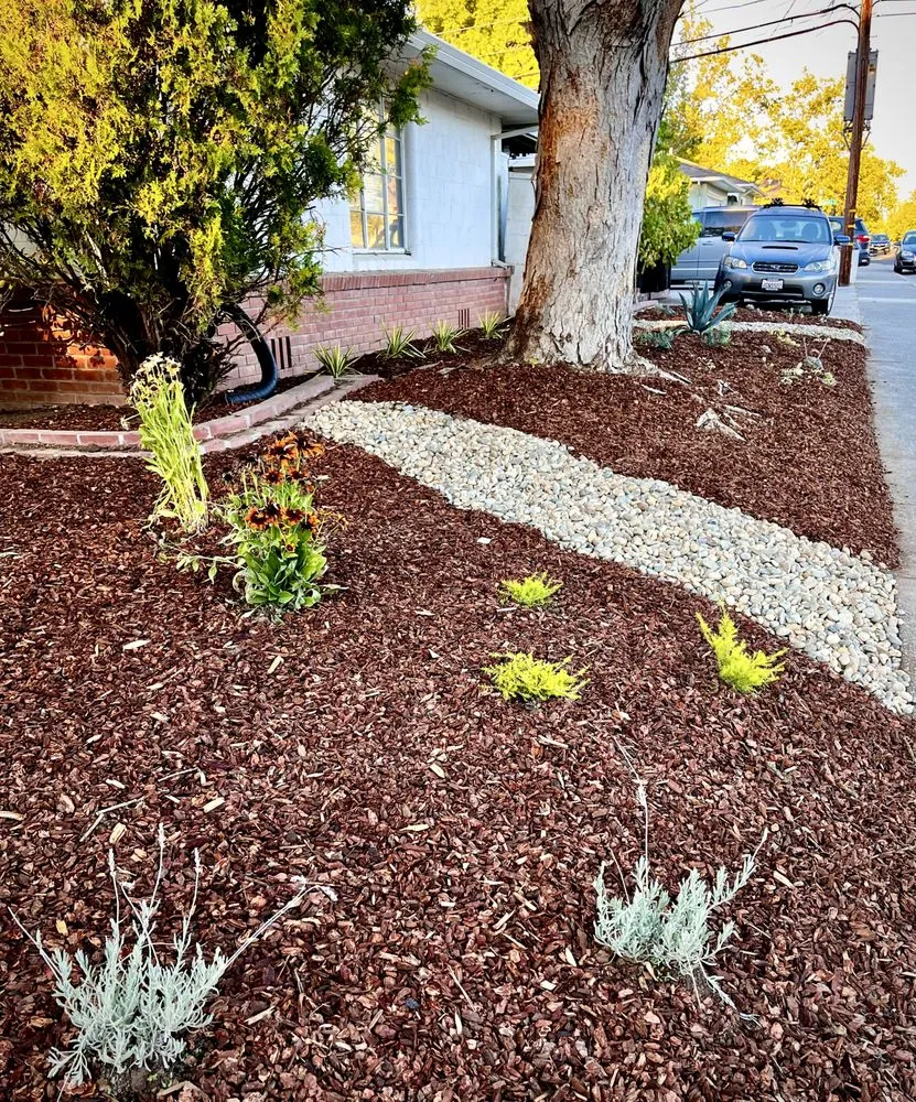 Trusted garden landscaping in San Diego, CA - EatScapes Landscaping