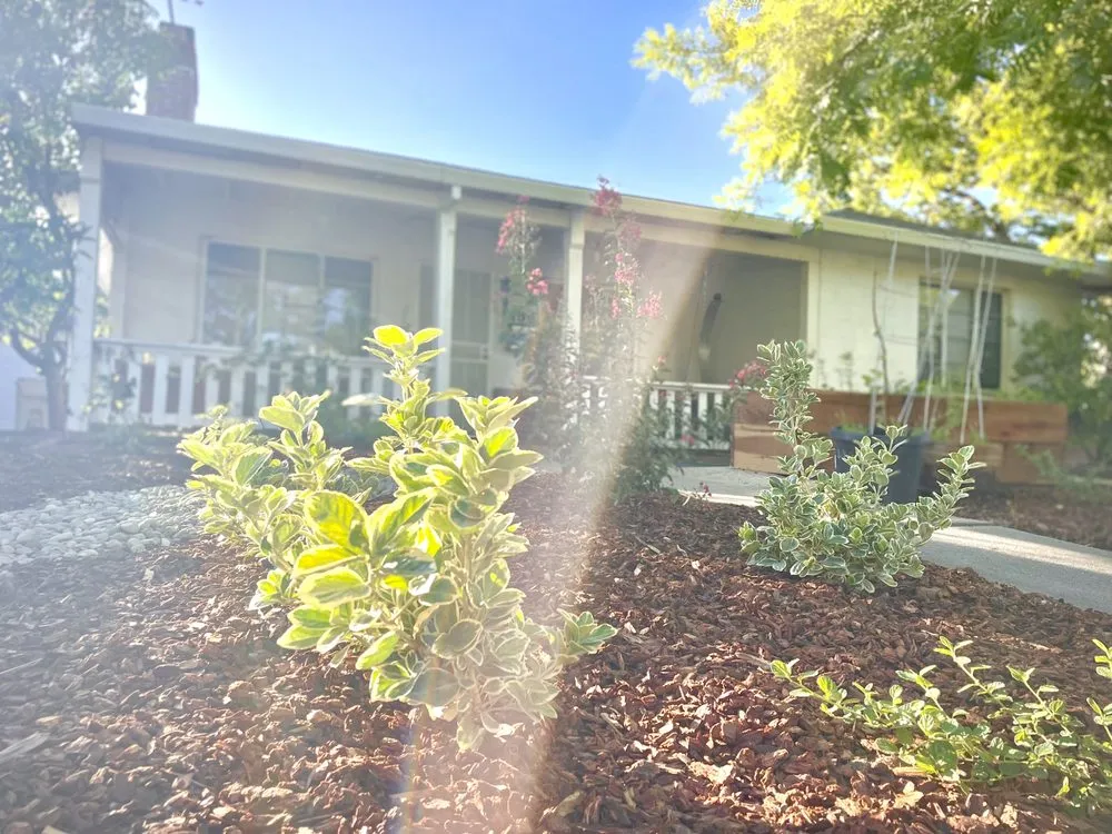 Trusted lawn care service in San Diego, CA by EatScapes Landscaping