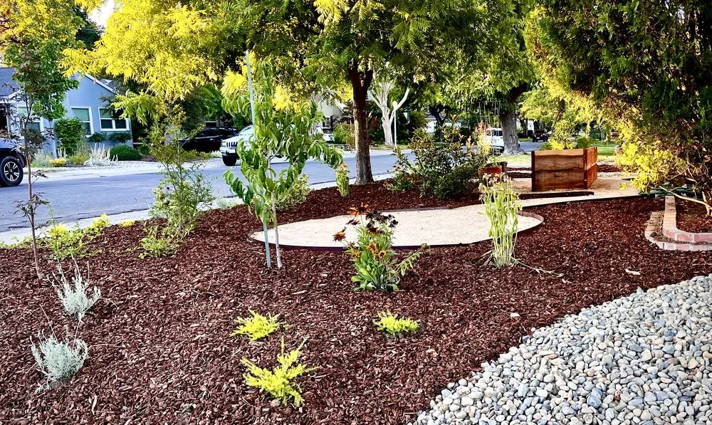 Local lawn mowing service for outdoor upgrades across San Diego, CA - EatScapes Landscaping