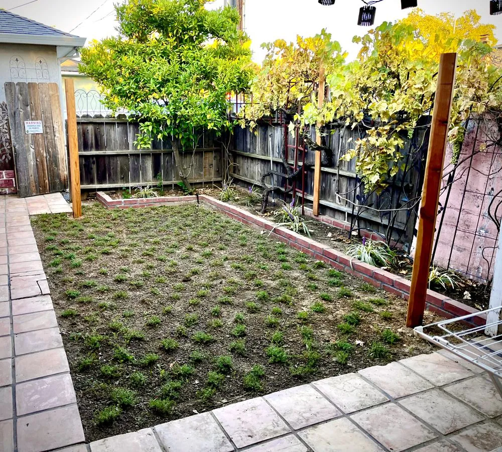 Expert yard maintenance in San Diego, CA by EatScapes Landscaping