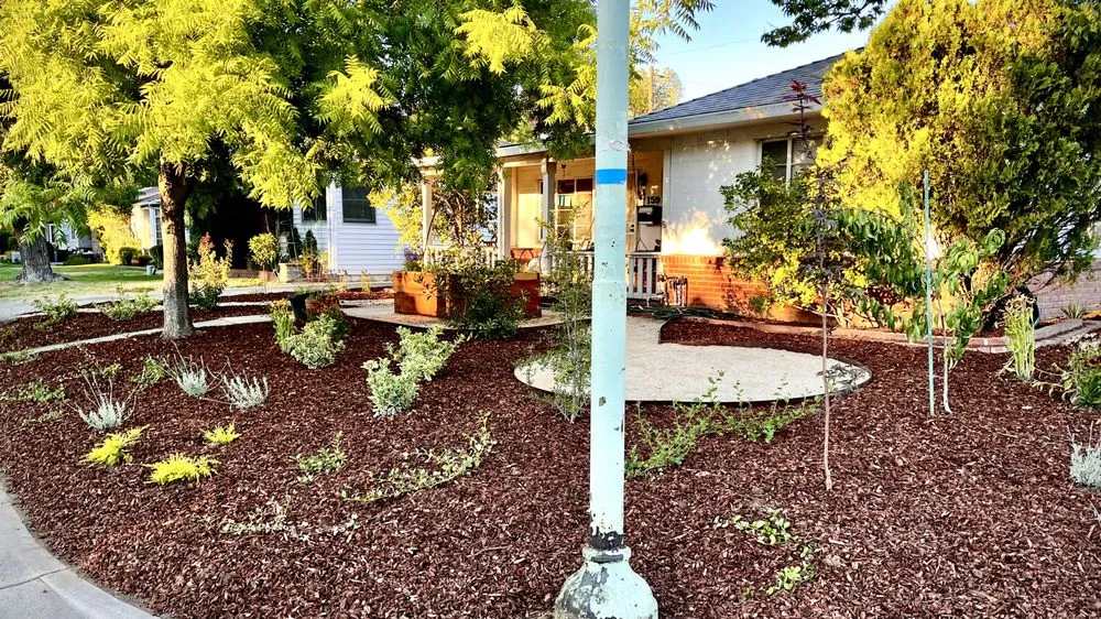 Custom yard cleanup service in San Diego, CA - EatScapes Landscaping