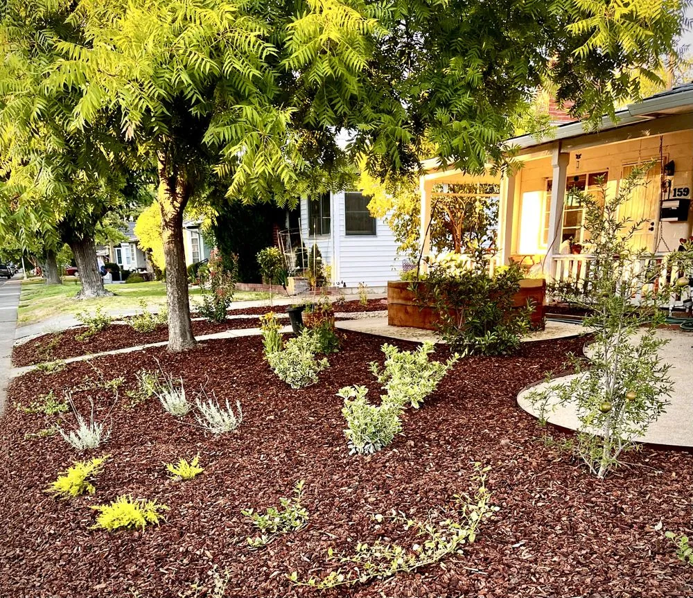 Trusted yard maintenance with custom design across San Diego, CA - EatScapes Landscaping