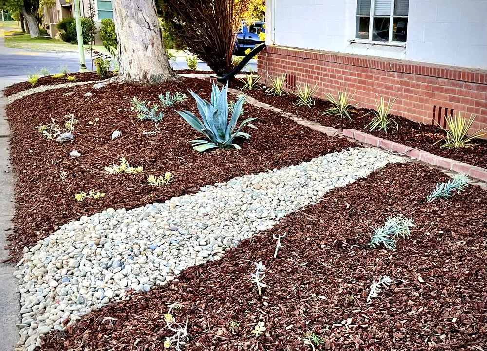 Affordable yard cleanup service near you in San Diego, CA by EatScapes Landscaping