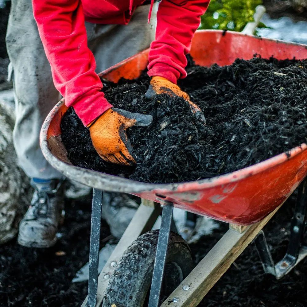 Professional yard maintenance for beautiful yards across Eau Claire, WI - Eau Claire Landscape