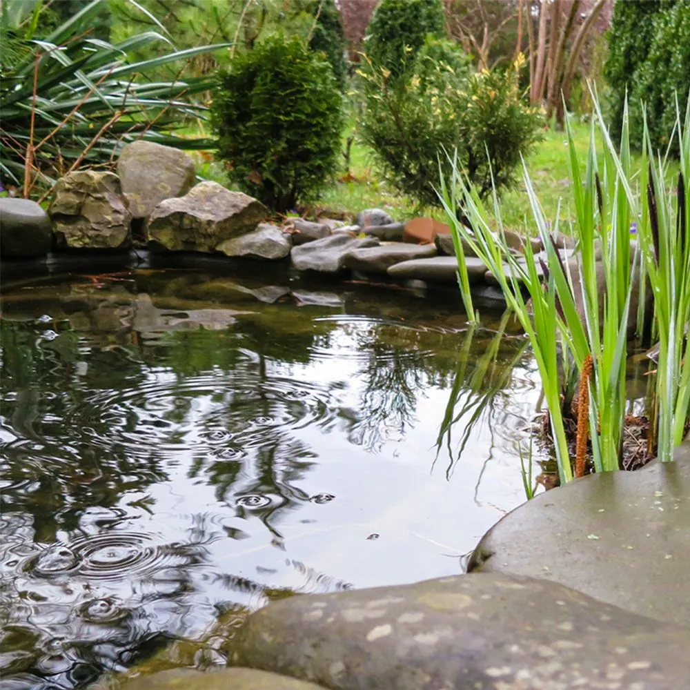 Local lawn care service for outdoor upgrades across Eau Claire, WI - Eau Claire Landscape