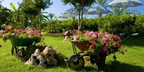 Top-rated lawn care service for beautiful yards in Eau Claire, WI by Eau Claire Lawn Care