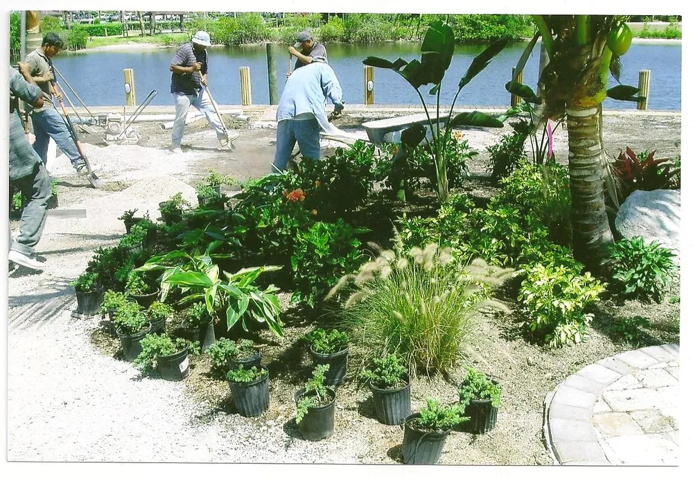Local landscape design in Melbourne, FL - Eau Gallie Wholesale Nursery