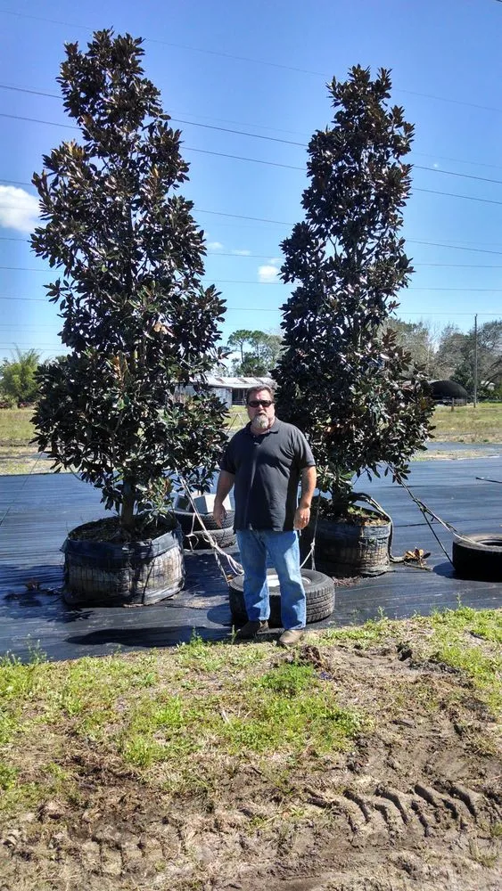 Local outdoor landscaping in Melbourne, FL - Eau Gallie Wholesale Nursery