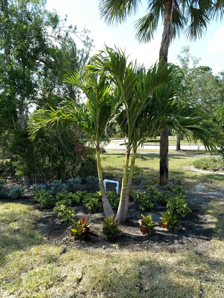 Expert landscape installation in Melbourne, FL by Eau Gallie Wholesale Nursery