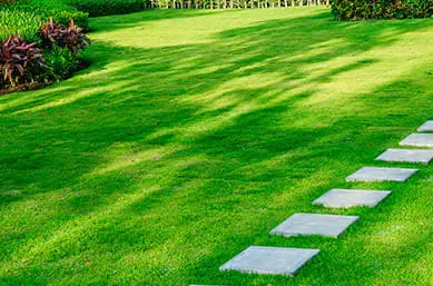 Top-rated lawn mowing service in Pittsfield, MA by E.Auger Property Management