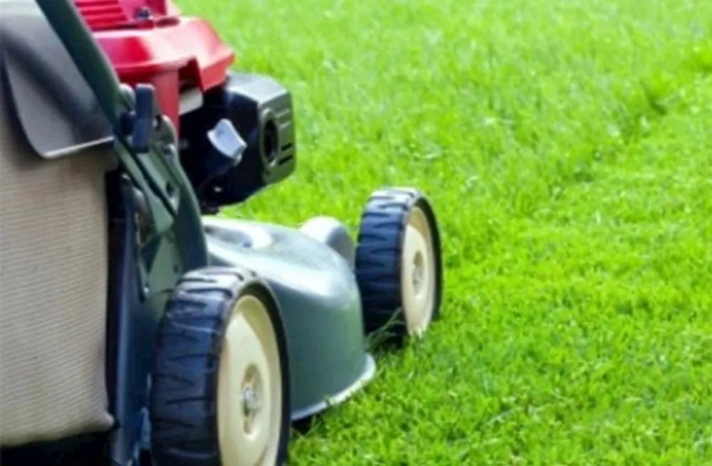 Trusted lawn care service for homes across Oklahoma City, OK - Eazy Care Landscaping