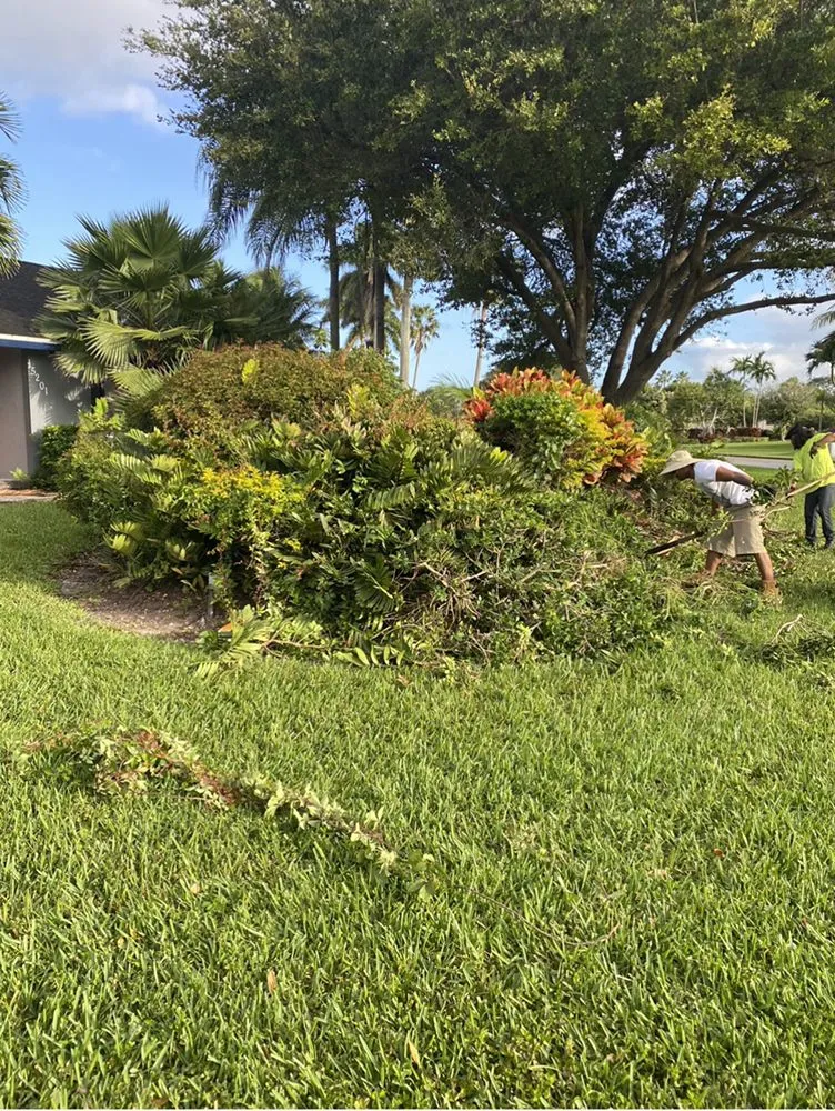 Affordable yard cleanup service for homes in Miami, FL by Eazy Do It landscaping & Remodeling