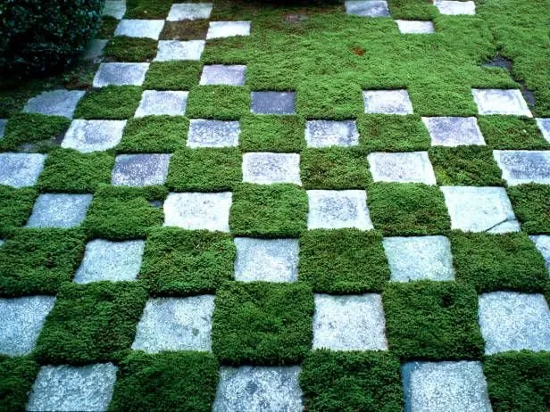 Professional yard maintenance for residential properties across Miami, FL - Eazy Do It landscaping & Remodeling