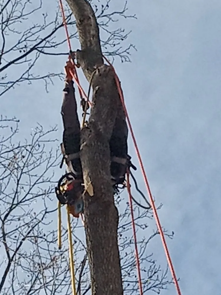 Custom lawn mowing service experts serving De Soto, MO - Eazy Does It Stonework and Hardscapes