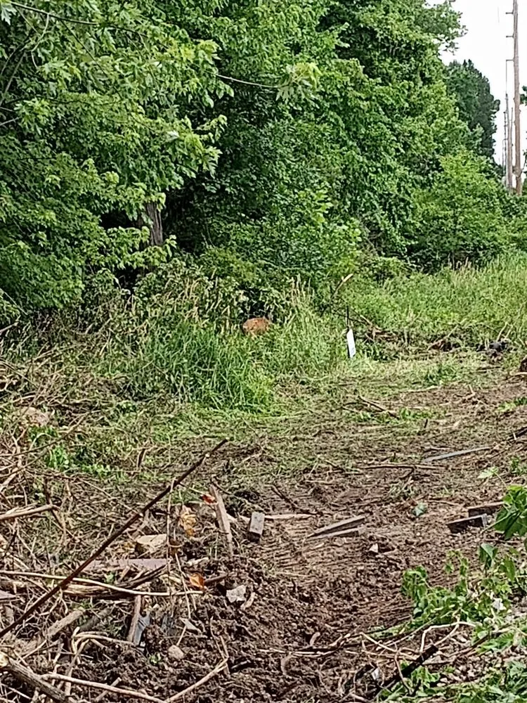 Local yard cleanup service in De Soto, MO by Eazy Does It Stonework and Hardscapes