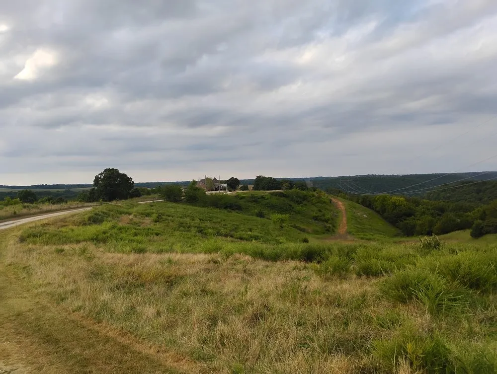 Custom outdoor landscaping in De Soto, MO by Eazy Does It Stonework and Hardscapes