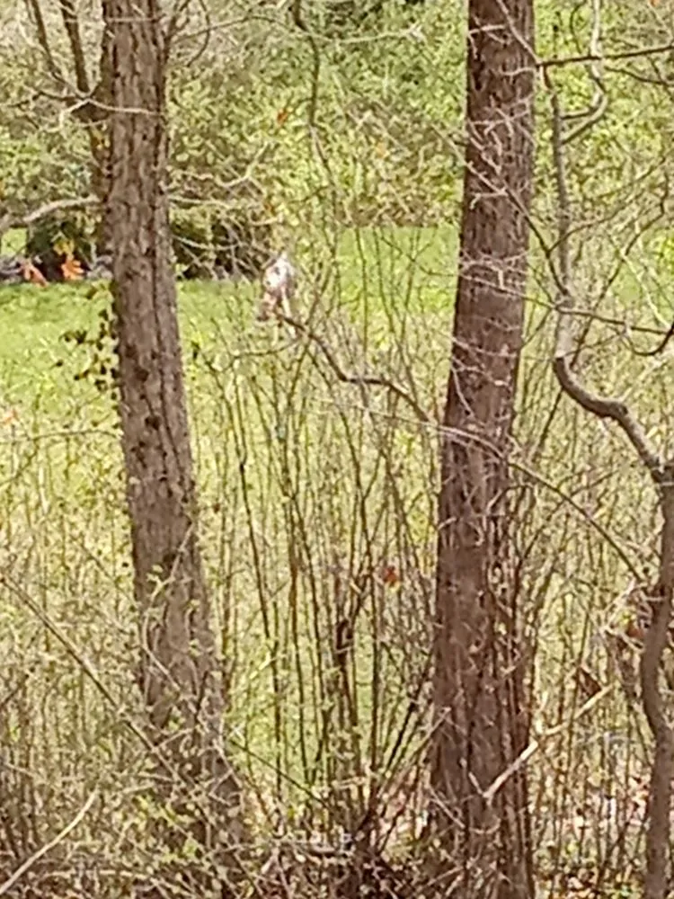 Trusted yard cleanup service in De Soto, MO - Eazy Does It Stonework and Hardscapes