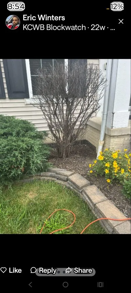 Professional garden landscaping for year-round maintenance across Columbus, OH - Eazy Moving And Landscaping