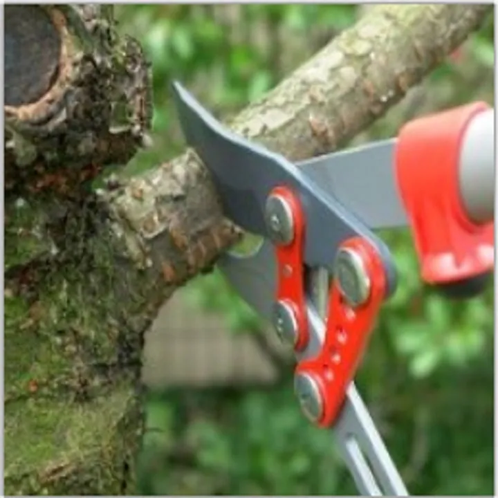 Professional lawn mowing service near you across Woodbridge, VA - Eazy Tree & Lawn