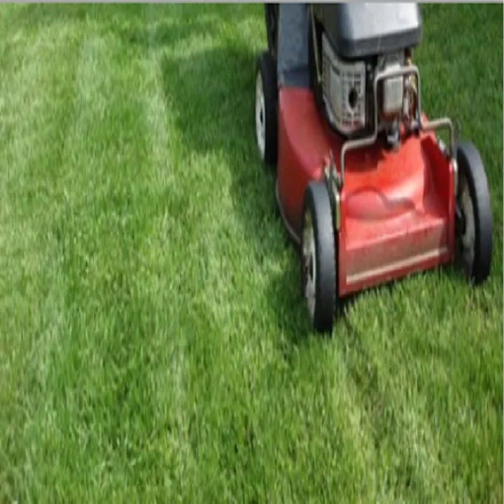 Reliable landscape design for homes across Woodbridge, VA - Eazy Tree & Lawn