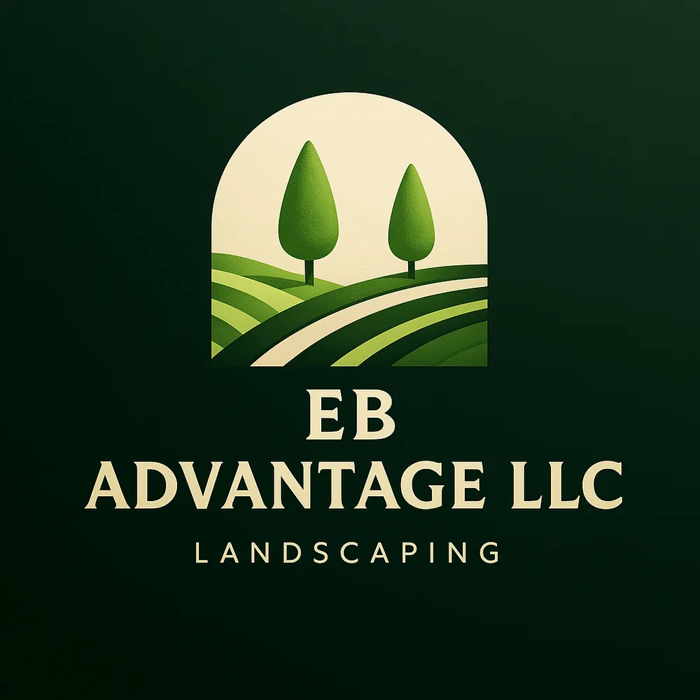 Expert yard cleanup service in San Antonio, TX by EB Advantage
