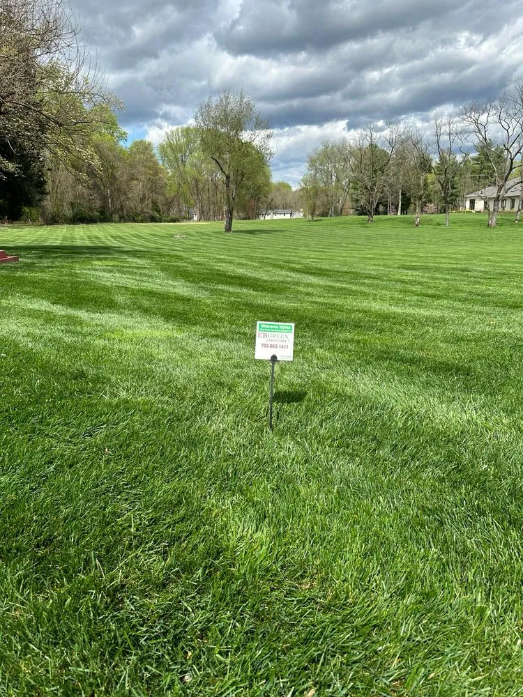 Trusted yard maintenance in Chantilly, VA by EB Green Lawn Care