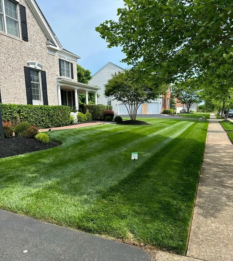 Expert yard maintenance in Chantilly, VA - EB Green Lawn Care