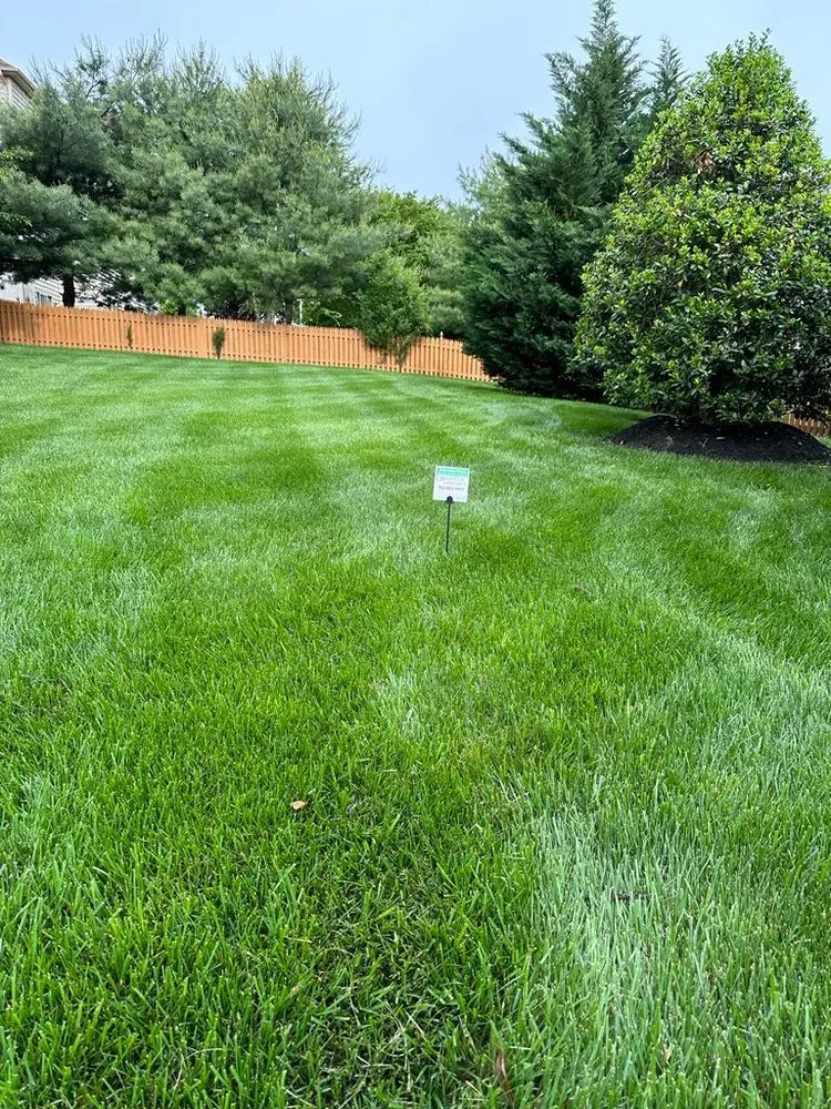 Trusted garden landscaping near you across Chantilly, VA - EB Green Lawn Care