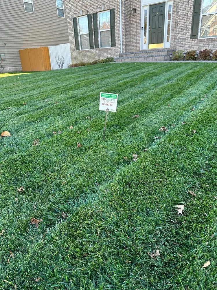 Affordable yard cleanup service in Chantilly, VA by EB Green Lawn Care