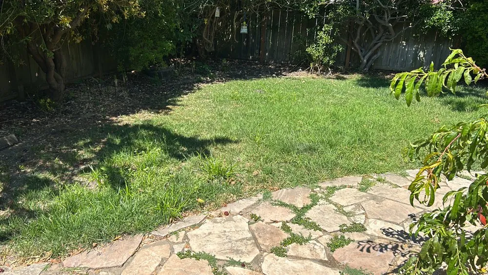 Top-rated yard maintenance experts serving San Pablo, CA - EB House Cleaning