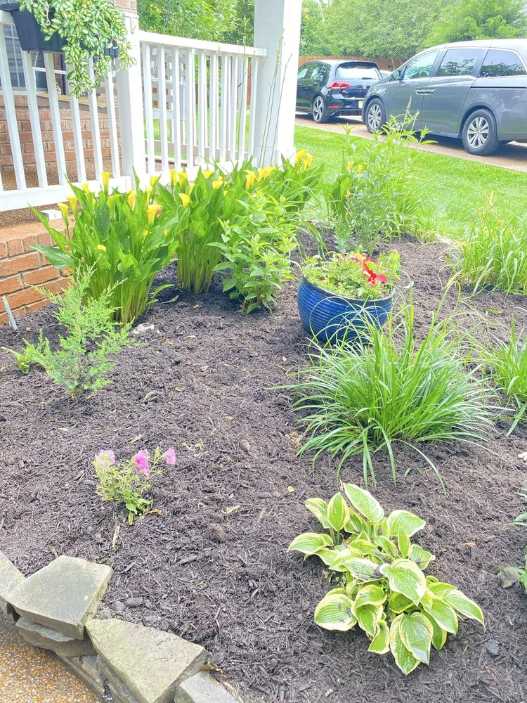 Reliable landscaping services for residential properties across Lenoir City, TN - EB Landscaping and Auto Detailing