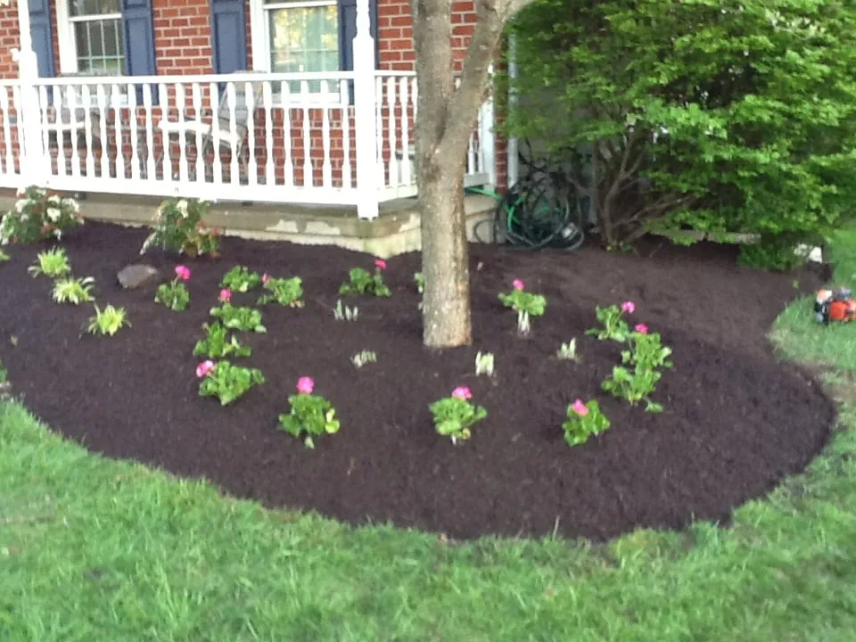 Reliable garden landscaping for year-round maintenance in Ellicott City, MD by EB Landscaping And Home Improvement