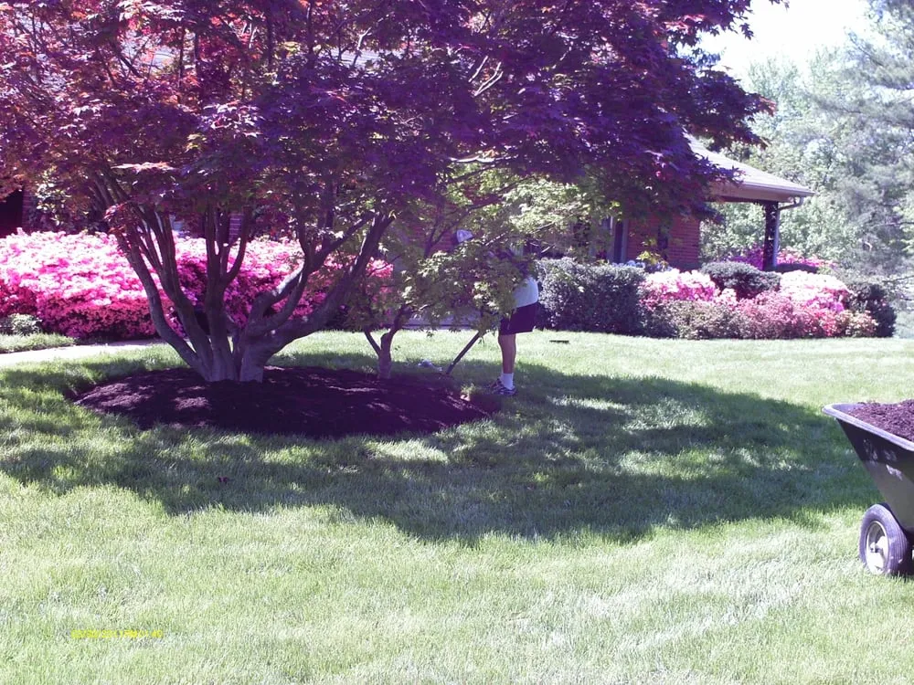 Custom outdoor landscaping for outdoor upgrades across Ellicott City, MD - EB Landscaping And Home Improvement