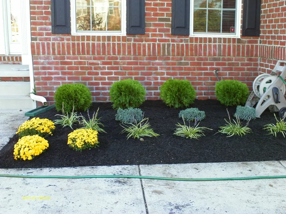 Professional yard maintenance in Ellicott City, MD by EB Landscaping And Home Improvement