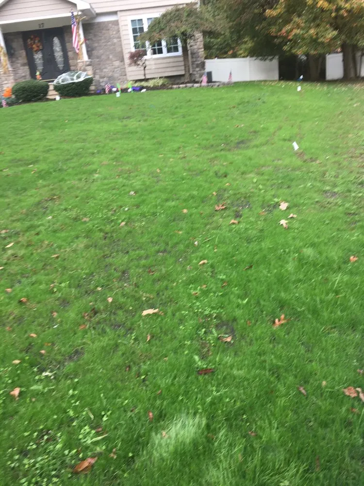 Professional yard cleanup service in Freehold, NJ by EB Landscaping