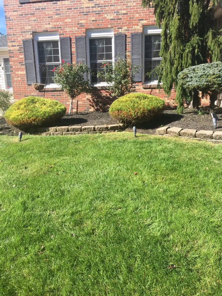 Expert yard cleanup service in Freehold, NJ - EB Landscaping