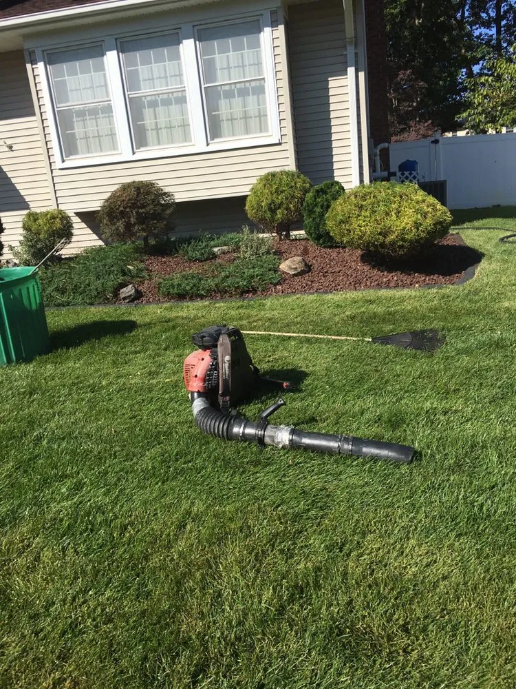Top-rated yard cleanup service for beautiful yards in Freehold, NJ by EB Landscaping
