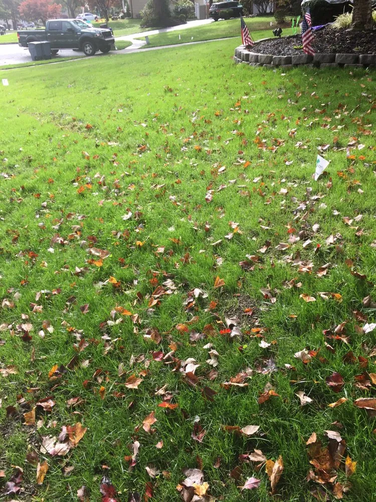 Local lawn care service experts serving Freehold, NJ - EB Landscaping