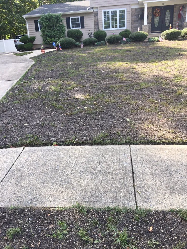 Local landscaping services in Freehold, NJ by EB Landscaping