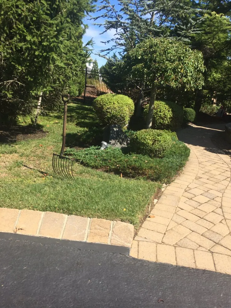 Professional yard cleanup service in Freehold, NJ - EB Landscaping